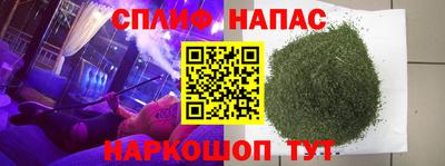 СК Краснознаменск