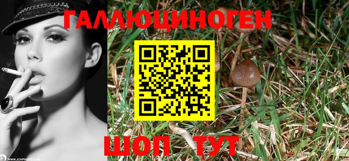 Южно-Сахалинск  Псилоцибиновые грибы мицелий  Вход с VPN 